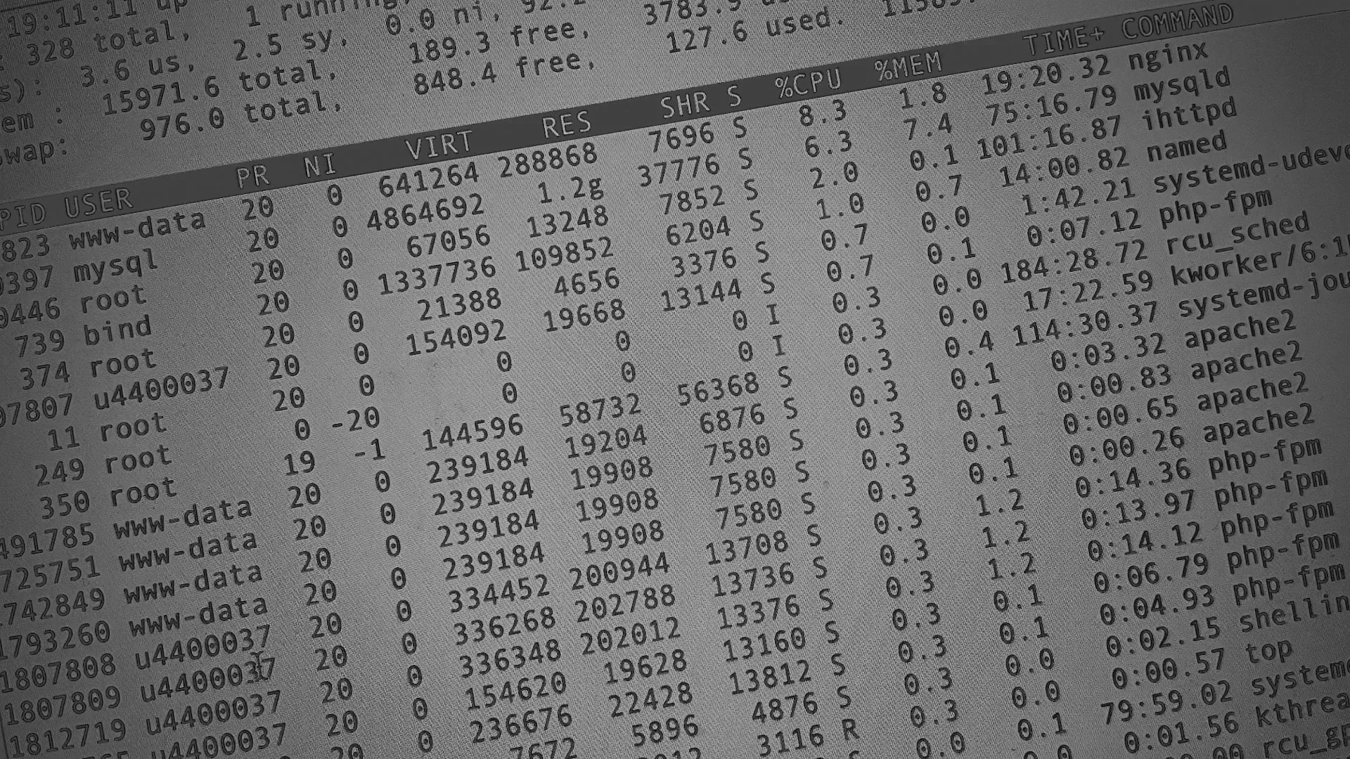 Настройка сервера в Копейске