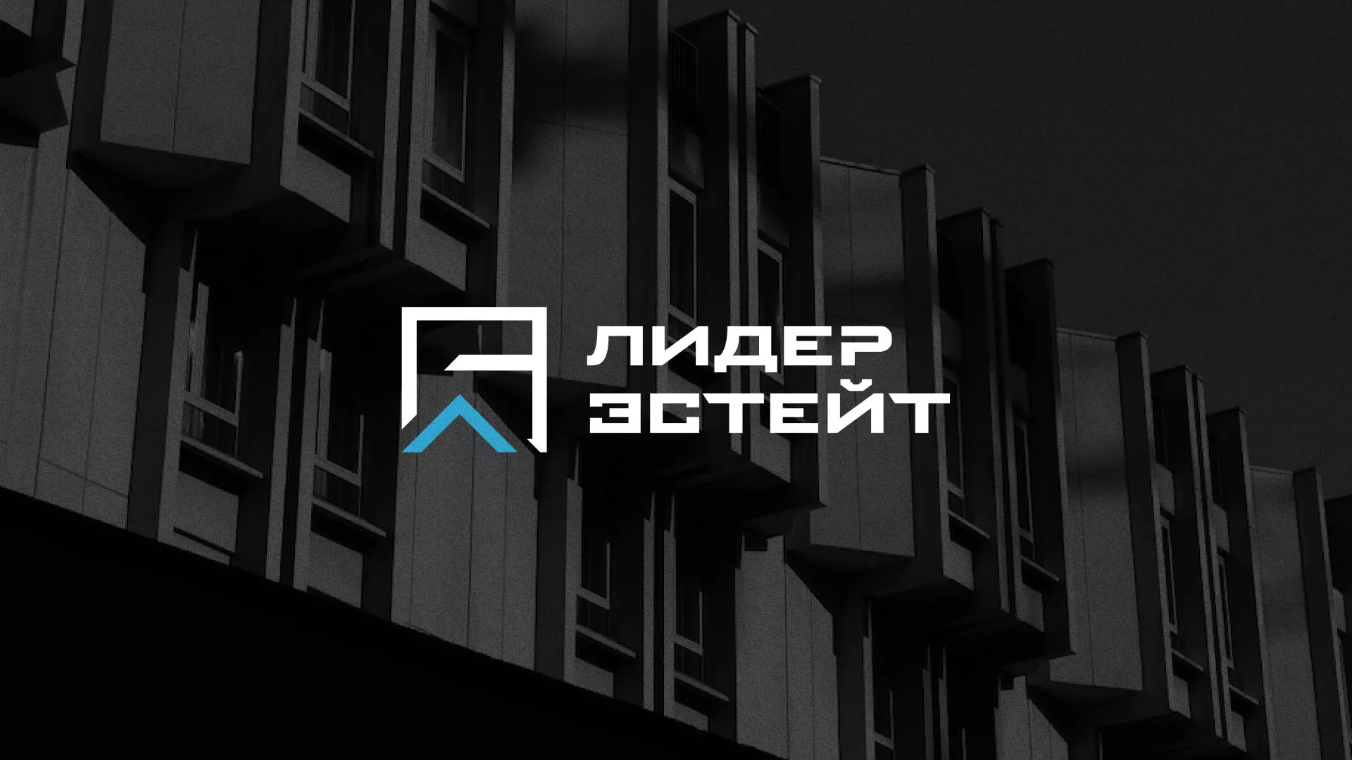 Разработка логотипа агентства недвижимости «Лидер Эстейт» в Копейске