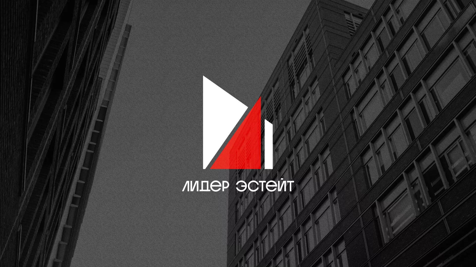 Сделали логотип для агентства недвижимости «Лидер Эстейт» в Копейске